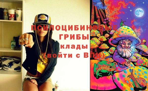 шишки Навашино