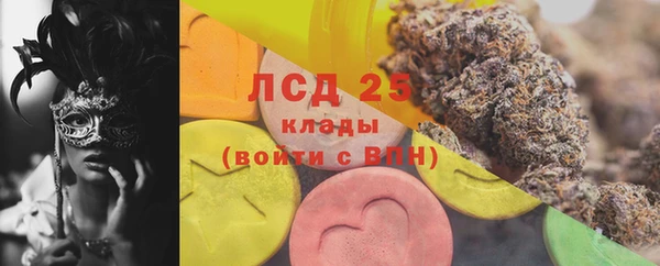 дживик Надым
