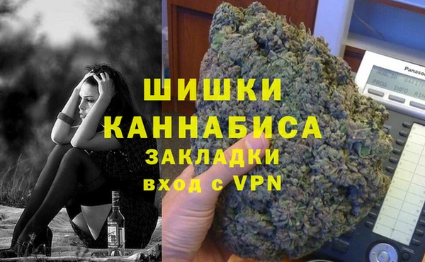 дживик Надым