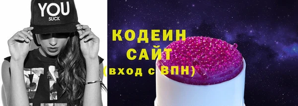 дживик Надым