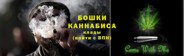 дживик Надым
