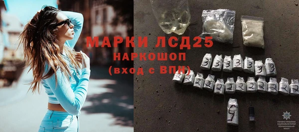 дживик Надым