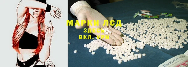 дживик Надым