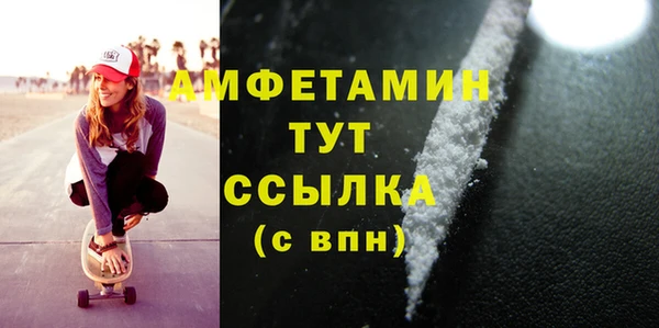 дживик Надым