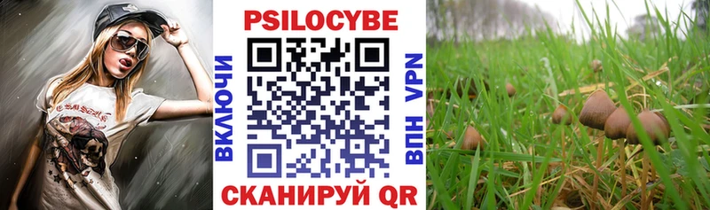 Псилоцибиновые грибы Cubensis  Нальчик 